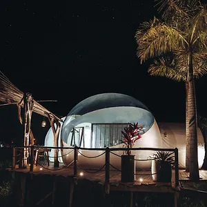 greenland-bubble-glamping.greaterantilleshotels.net/